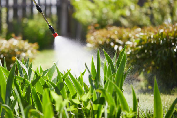 24/7 Emergency Wasp Removal experts in Morgantown, WV