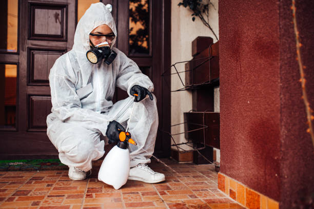 Reliable Wasp Removal contractor in Morgantown, WV by Show Me Pest Control