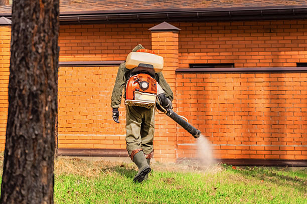 Top rated local Wasp Removal specialists in Morgantown, WV